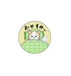 チワワのチロル（個別スタンプ：40）