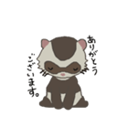 Ferret cu-chan（個別スタンプ：1）