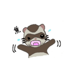 Ferret cu-chan（個別スタンプ：2）