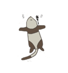 Ferret cu-chan（個別スタンプ：3）