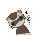 Ferret cu-chan（個別スタンプ：5）