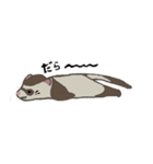 Ferret cu-chan（個別スタンプ：6）