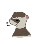 Ferret cu-chan（個別スタンプ：9）