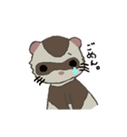 Ferret cu-chan（個別スタンプ：12）