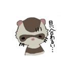 Ferret cu-chan（個別スタンプ：13）