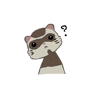Ferret cu-chan（個別スタンプ：17）