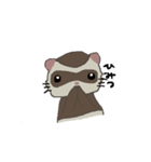Ferret cu-chan（個別スタンプ：19）