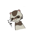 Ferret cu-chan（個別スタンプ：20）