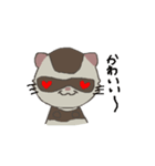 Ferret cu-chan（個別スタンプ：23）