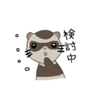 Ferret cu-chan（個別スタンプ：24）