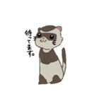 Ferret cu-chan（個別スタンプ：26）