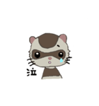 Ferret cu-chan（個別スタンプ：27）
