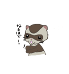 Ferret cu-chan（個別スタンプ：28）