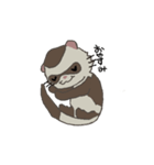 Ferret cu-chan（個別スタンプ：32）