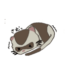 Ferret cu-chan（個別スタンプ：35）