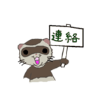 Ferret cu-chan（個別スタンプ：37）