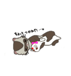 Ferret cu-chan（個別スタンプ：38）
