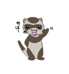 Ferret cu-chan（個別スタンプ：39）