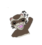 Ferret cu-chan（個別スタンプ：40）