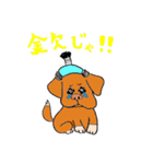 元保護犬TIG店長のスタンプ2（個別スタンプ：6）