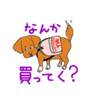 元保護犬TIG店長のスタンプ2（個別スタンプ：23）