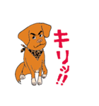 元保護犬TIG店長のスタンプ2（個別スタンプ：34）