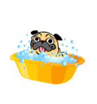 Puk the Pug（個別スタンプ：30）