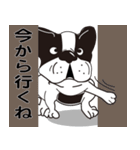 ブル君のつぶやき（個別スタンプ：1）