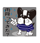 ブル君のつぶやき（個別スタンプ：13）