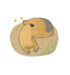 Sweet Capybara（個別スタンプ：9）