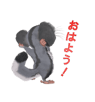 3D Animal モンちゃん vol.2（個別スタンプ：13）