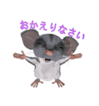 3D Animal モンちゃん vol.2（個別スタンプ：17）