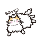 モフモフなネコしゃん（個別スタンプ：5）