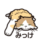 モフモフなネコしゃん（個別スタンプ：7）