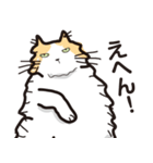 モフモフなネコしゃん（個別スタンプ：37）