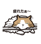 モフモフなネコしゃん（個別スタンプ：40）