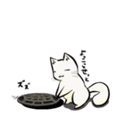 今日のたまトド（個別スタンプ：12）