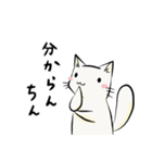 今日のたまトド（個別スタンプ：14）