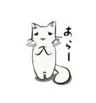 今日のたまトド（個別スタンプ：18）