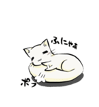 今日のたまトド（個別スタンプ：23）