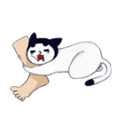 Slobbercat（個別スタンプ：20）