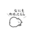 ココとロロ（個別スタンプ：13）