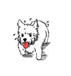 Bubble B Dog（個別スタンプ：12）