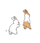 Rabbit with Mask2（個別スタンプ：2）