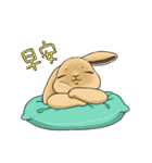 Rabbit with Mask2（個別スタンプ：7）