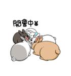 Rabbit with Mask2（個別スタンプ：14）