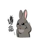 Rabbit with Mask2（個別スタンプ：16）