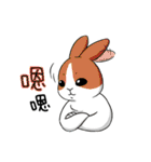 Rabbit with Mask2（個別スタンプ：23）