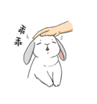 Rabbit with Mask2（個別スタンプ：34）