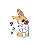 Rabbit with Mask2（個別スタンプ：35）
